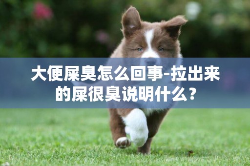 大便屎臭怎么回事-拉出來的屎很臭說明什么？
