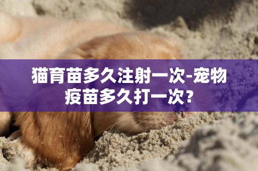 貓育苗多久注射一次-寵物疫苗多久打一次？