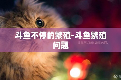 斗魚不停的繁殖-斗魚繁殖問題