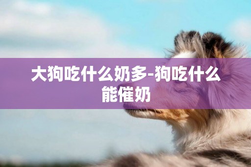 大狗吃什么奶多-狗吃什么能催奶