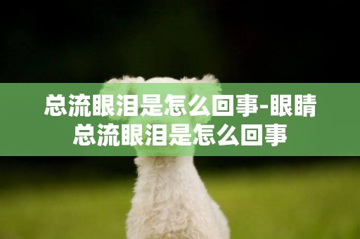 總流眼淚是怎么回事-眼睛總流眼淚是怎么回事