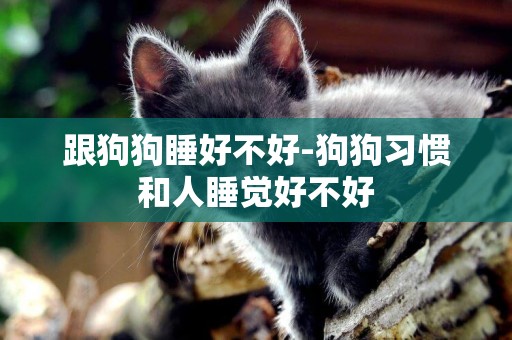 跟狗狗睡好不好-狗狗習慣和人睡覺好不好