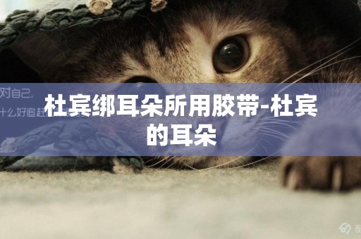 杜賓綁耳朵所用膠帶-杜賓的耳朵
