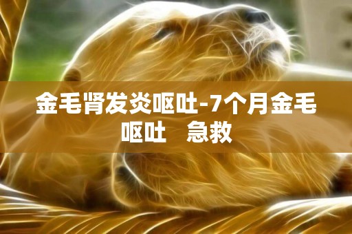 金毛腎發炎嘔吐-7個月金毛嘔吐   急救