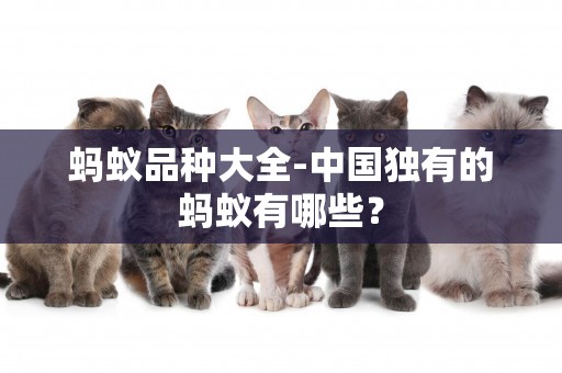 螞蟻品種大全-中國獨有的螞蟻有哪些？