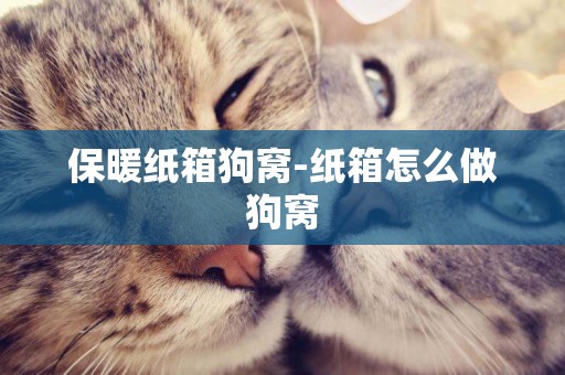 保暖紙箱狗窩-紙箱怎么做狗窩