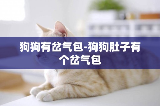 狗狗有岔氣包-狗狗肚子有個岔氣包