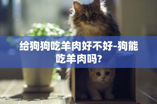 給狗狗吃羊肉好不好-狗能吃羊肉嗎?