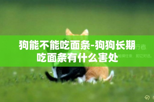 狗能不能吃面條-狗狗長期吃面條有什么害處
