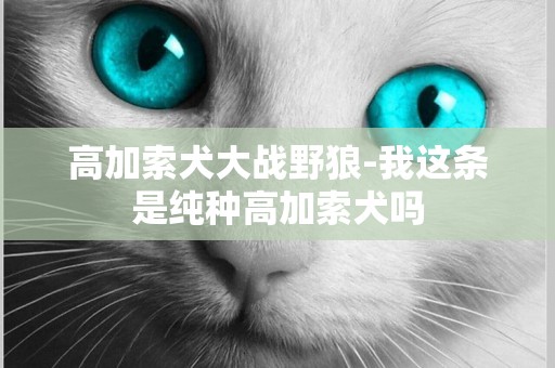 高加索犬大戰野狼-我這條是純種高加索犬嗎