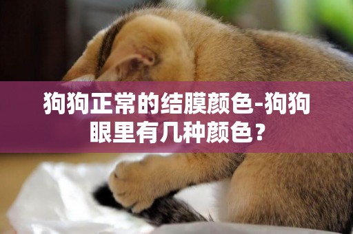 狗狗正常的結膜顏色-狗狗眼里有幾種顏色？