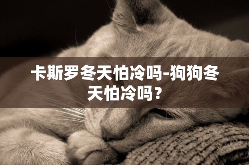卡斯羅冬天怕冷嗎-狗狗冬天怕冷嗎？