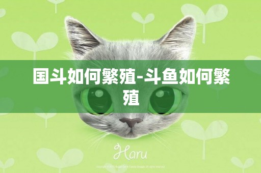 國斗如何繁殖-斗魚如何繁殖
