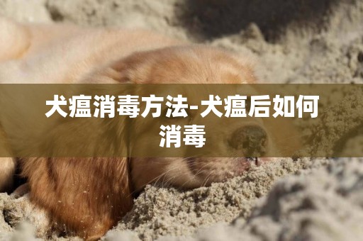 犬瘟消毒方法-犬瘟后如何消毒