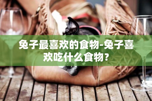 兔子最喜歡的食物-兔子喜歡吃什么食物？