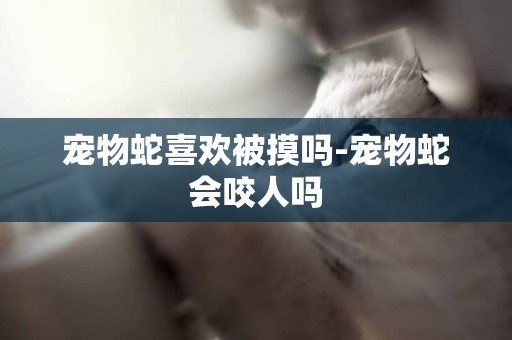 寵物蛇喜歡被摸嗎-寵物蛇會咬人嗎