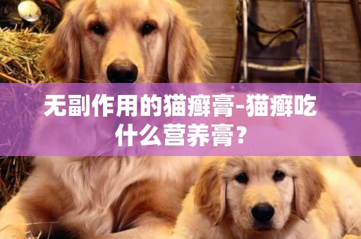 無副作用的貓癬膏-貓癬吃什么營養膏？