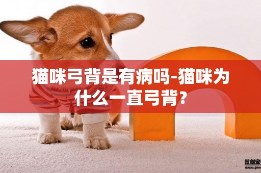 貓咪弓背是有病嗎-貓咪為什么一直弓背？