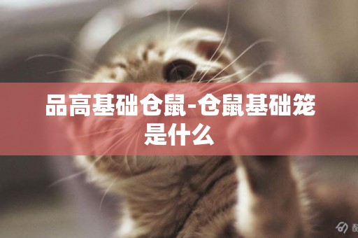 品高基礎倉鼠-倉鼠基礎籠是什么