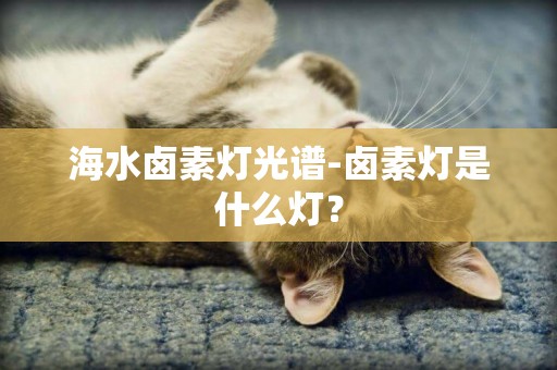 海水鹵素燈光譜-鹵素燈是什么燈？