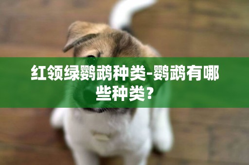 紅領綠鸚鵡種類-鸚鵡有哪些種類？