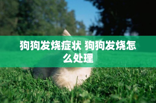 狗狗發燒癥狀 狗狗發燒怎么處理
