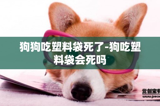 狗狗吃塑料袋死了-狗吃塑料袋會死嗎