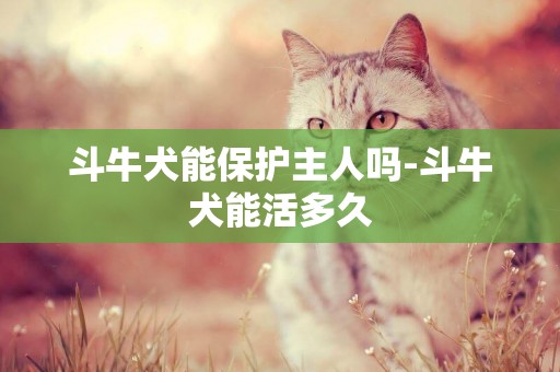 斗牛犬能保護主人嗎-斗牛犬能活多久
