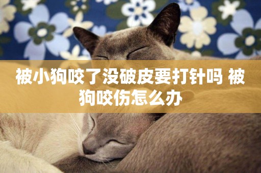 被小狗咬了沒破皮要打針嗎 被狗咬傷怎么辦