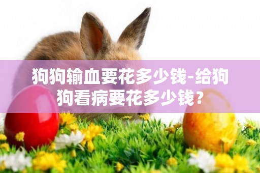 狗狗輸血要花多少錢-給狗狗看病要花多少錢？