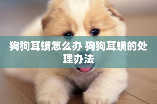 狗狗耳螨怎么辦 狗狗耳螨的處理辦法