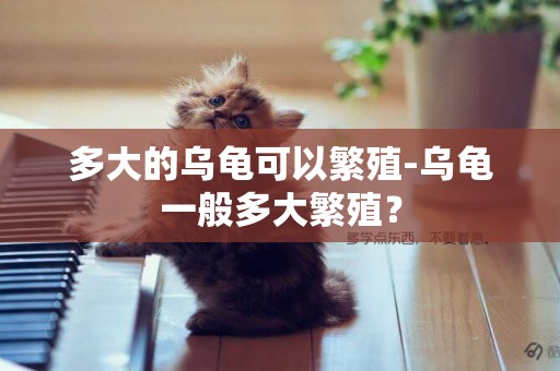 多大的烏龜可以繁殖-烏龜一般多大繁殖？