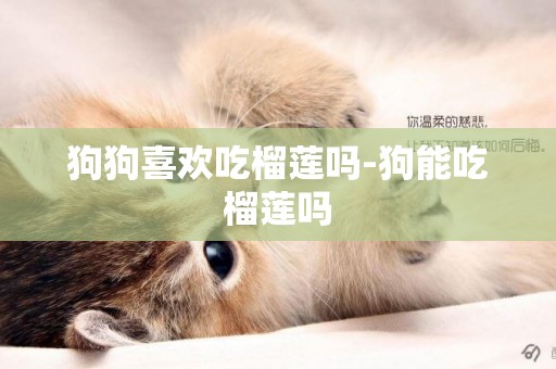 狗狗喜歡吃榴蓮嗎-狗能吃榴蓮嗎