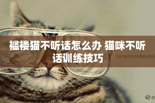 襤褸貓不聽話怎么辦 貓咪不聽話訓練技巧