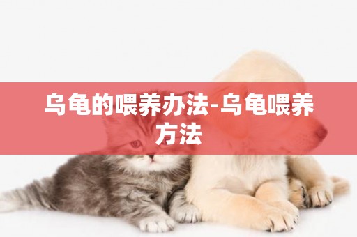 烏龜的喂養辦法-烏龜喂養方法