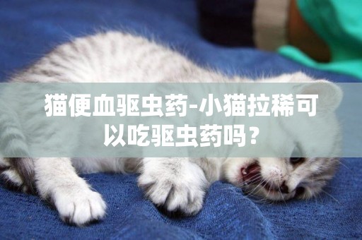 貓便血驅蟲藥-小貓拉稀可以吃驅蟲藥嗎？