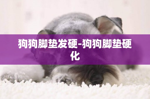 狗狗腳墊發硬-狗狗腳墊硬化