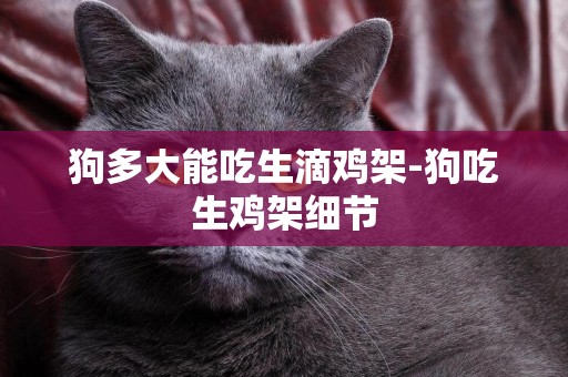 狗多大能吃生滴雞架-狗吃生雞架細節
