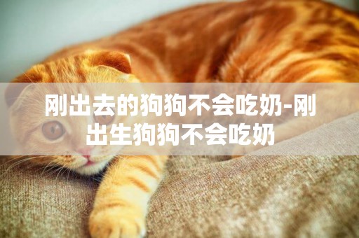 剛出去的狗狗不會吃奶-剛出生狗狗不會吃奶