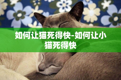如何讓貓死得快-如何讓小貓死得快