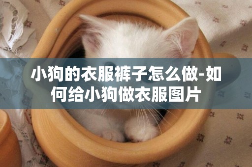 小狗的衣服褲子怎么做-如何給小狗做衣服圖片