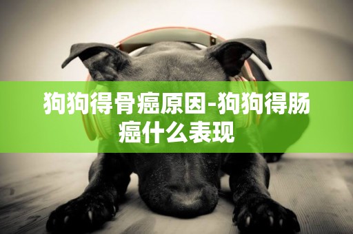 狗狗得骨癌原因-狗狗得腸癌什么表現