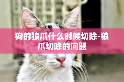 狗的狼爪什么時候切除-狼爪切除的問題
