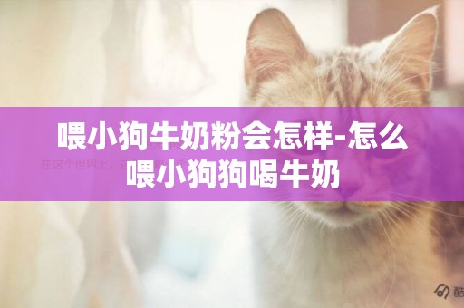 喂小狗牛奶粉會怎樣-怎么喂小狗狗喝牛奶
