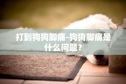 打到狗狗腳痛-狗狗腳痛是什么問題？