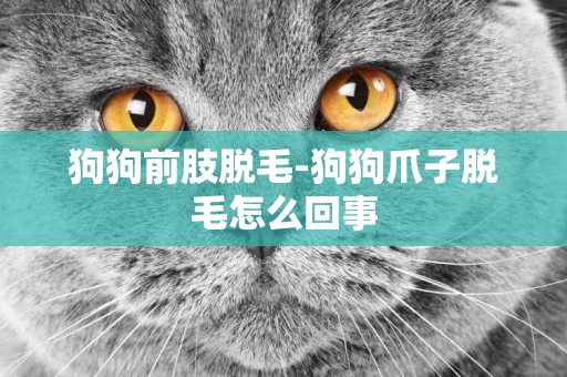 狗狗前肢脫毛-狗狗爪子脫毛怎么回事