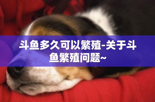 斗魚多久可以繁殖-關于斗魚繁殖問題~