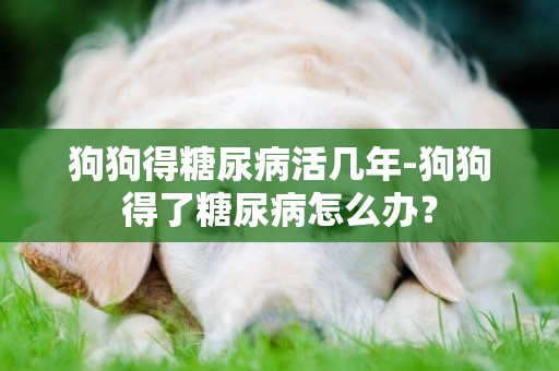 狗狗得糖尿病活幾年-狗狗得了糖尿病怎么辦？