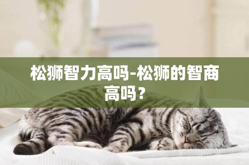 松獅智力高嗎-松獅的智商高嗎？