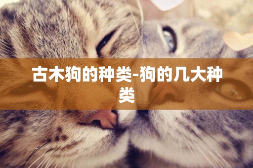 古木狗的種類-狗的幾大種類